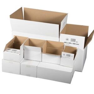 قیمت انواع کارتن پستی